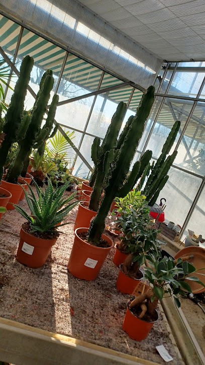 J.P.G.Jardinerie Pépinière Grincard SAS, Paysagiste à Uzès