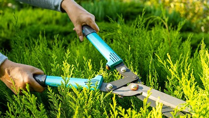 CARRE VERT JARDINS, Paysagiste à Chennevières-sur-Marne