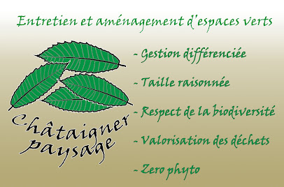 Chataigner Paysage Paysagiste à Melun