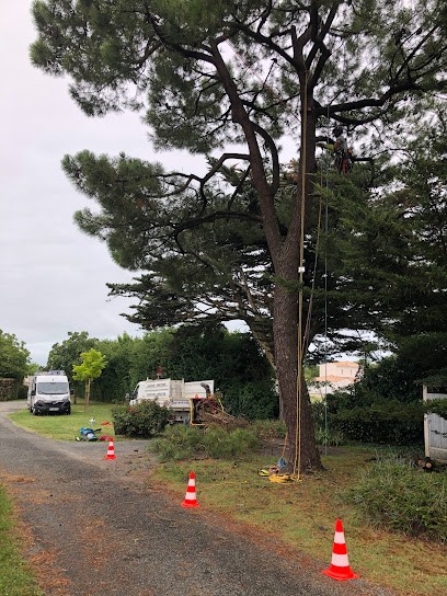 Arbopaysage, Paysagiste à Saint-Romain-de-Benet