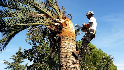 Nicolas SUE Jardinier, Paysagiste à La Colle-sur-Loup