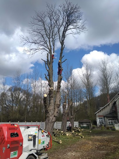 REANT Concept Paysage - élagage Arras, Paysagiste à Gavrelle