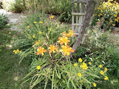 Terre de jardin, Paysagiste à Robion