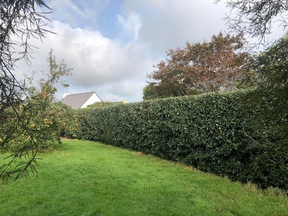 Carré De Jardin - Paysagiste, Paysagiste à Trébeurden