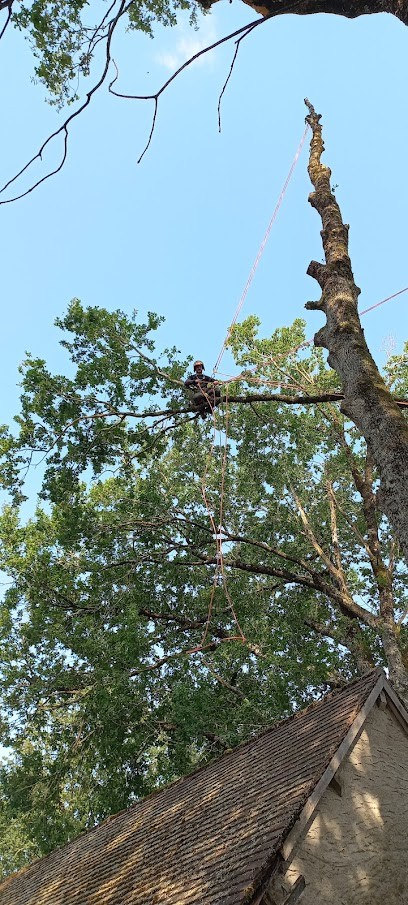 CHABROL ÉLAGAGE, Paysagiste à Corgnac-sur-l'Isle