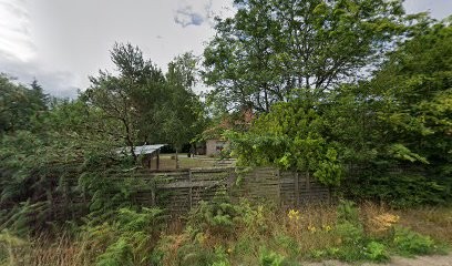Yves Bozo Entreprise De Jardins, Paysagiste à Ligny-le-Ribault