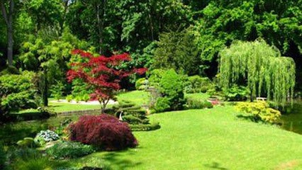 SOS Parcs Et Jardins, Paysagiste à Châteaubourg