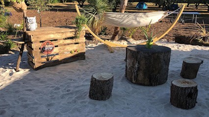 Arboretum élagage paysage, Paysagiste à Uchaux