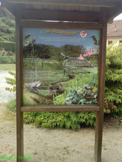 Valentin Thierry, Paysagiste à Grandrupt