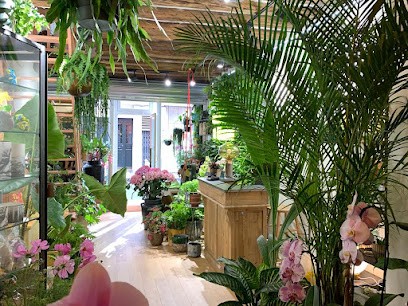 AUDE Plantes - bureaux paysagers, Paysagiste à Paris 07