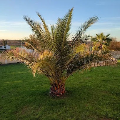 JARDI' CREATION - Paysagiste Elagueur Coutras Libourne, Paysagiste à La Clotte