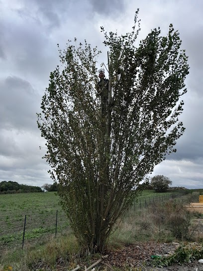 Espaces Verts, Paysagiste à Jaunay-Marigny
