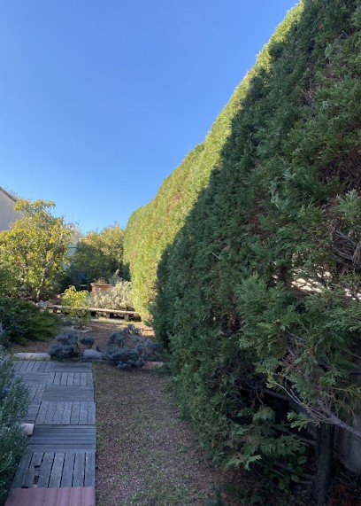 Les Jardins De Maxime, Paysagiste à Pignan