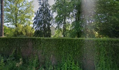 Massart Espaces Verts, Paysagiste à Montauban-de-Bretagne