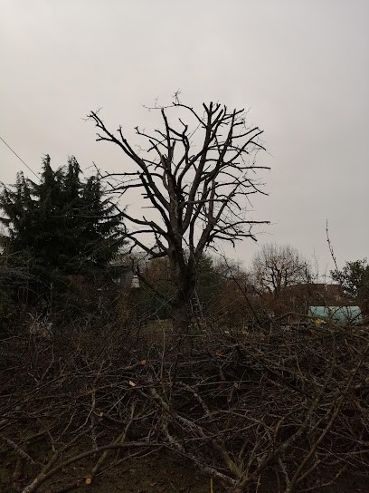 l'ami des jardins, Paysagiste à Sevran