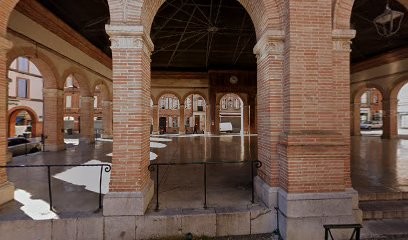 SUBRA Espace Vert, Paysagiste à Carbonne