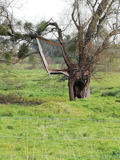 Cadieu Philippe, Paysagiste à Lécousse
