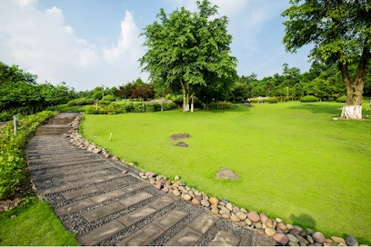 MD PAYSAGE, Paysagiste à Paris 13