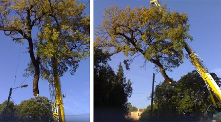 JML Espace Vert Corse-Démaquisage-Elagage-Débroussaillage-Abattage, Paysagiste à Farinole