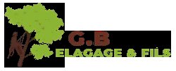 Gb Élagage & Fils Paysagiste à Poisy