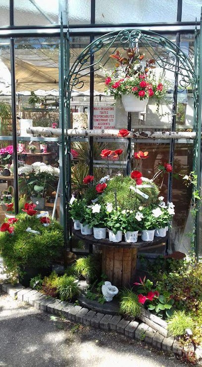 Specker Conception, Paysagiste à Saint-Louis