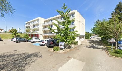 Ain Paysages Et Jardins Services, Paysagiste à Viriat