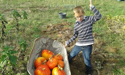 H2p Jardins, Paysagiste à Marcilly-sur-Vienne