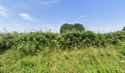 D2G PAYSAGE, Paysagiste à Bures