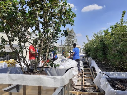 Bizot Paysagistes, Paysagiste à Sèvres