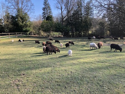 Bell'Green, Paysagiste à Devise