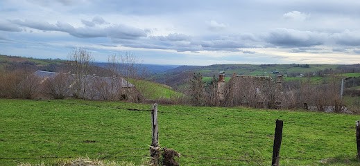 Allan - Arbres & Jardins, Paysagiste à Saint-Clément