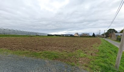Agapanthe jardin Bernard, Paysagiste à Ploubazlanec