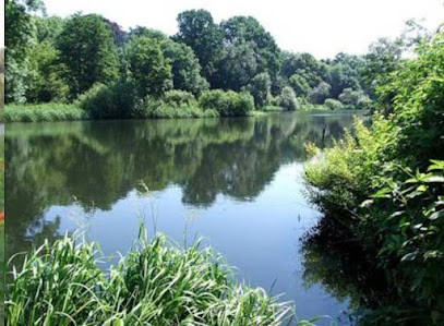 Idverde, Paysagiste à Lamotte-du-Rhône