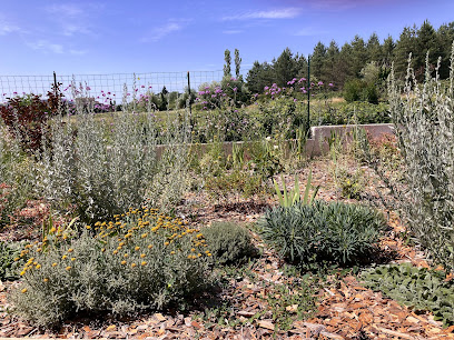 Sdj-Conception De Jardin Paysagiste à Vallées-d'Antraigues-Asperjoc