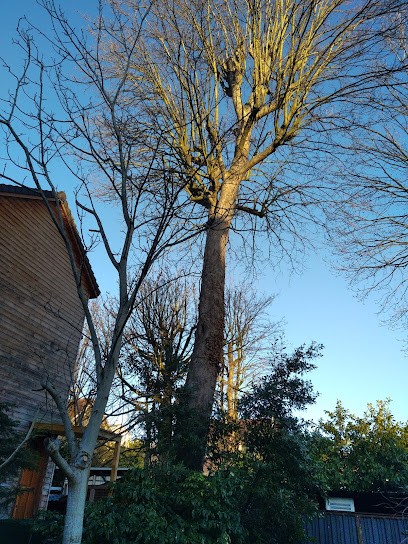 Vigneron Jean-Michel, Paysagiste à Pontoise