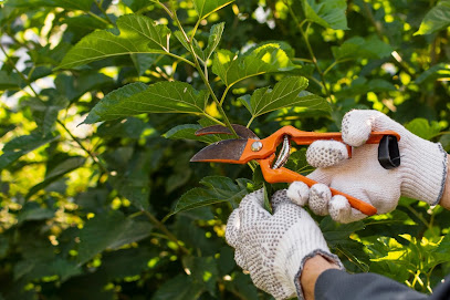 Vert Passion Paysagiste à Draillant