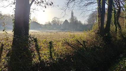 Piat Laurent, Paysagiste à Saint-Aignan-Grandlieu