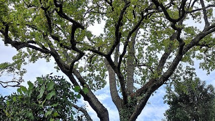 Art & Paysage, Paysagiste à Madaillan