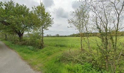 Instinct Vert, Paysagiste à Nort-sur-Erdre