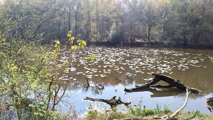 Clouet Paysagiste, Paysagiste à La Chapelle-sur-Erdre