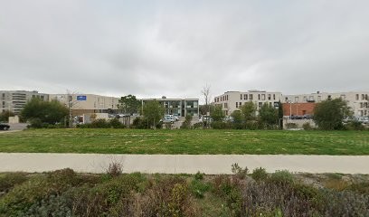 BRL Espaces Naturels, Paysagiste à Mauguio