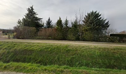 Eric Paysage, Paysagiste à Saumont