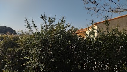 Jean-Luc Espace Vert, Paysagiste à Seillons-Source-d'Argens