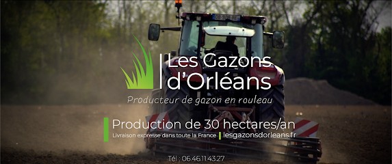 Les Gazons d'Orléans, Paysagiste à Saint-Denis-en-Val