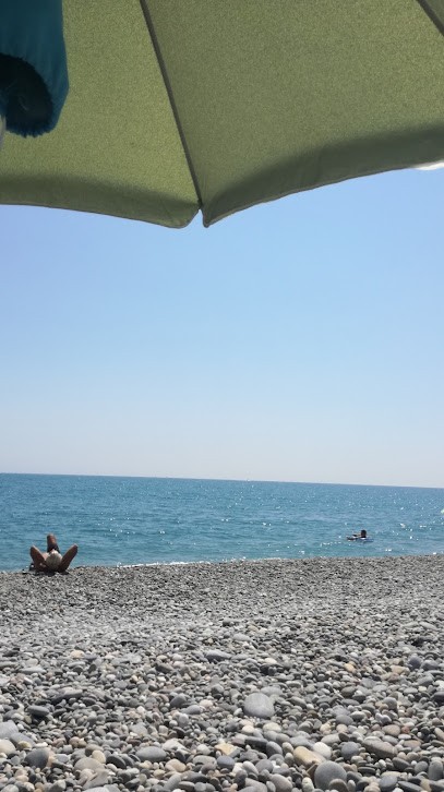 Les jardins vert tendre, Paysagiste à Villeneuve-Loubet