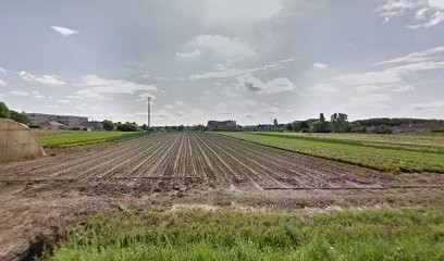 CEVA Paysage, Paysagiste à Auxonne