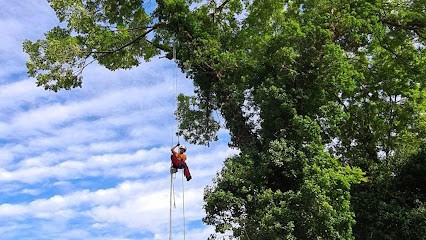 Arbre Avenir - Qualiarbre, Paysagiste à Montsérié