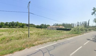 Cassin Paysagiste, Paysagiste à Morières-lès-Avignon