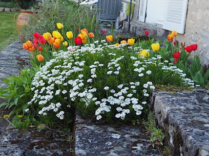 Arbres & Paysages - Création, entretien, élagage, Paysagiste à Guibeville