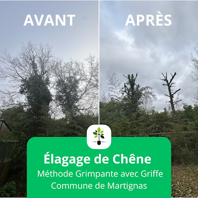 Espace Jardin Tp - Paysagiste, Élagage, Abattage, Taille De Haies... Paysagiste à Mérignac